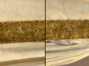 Click to enlarge.